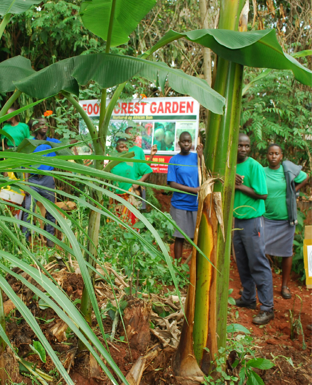 Gallery image: service hik2.jpg